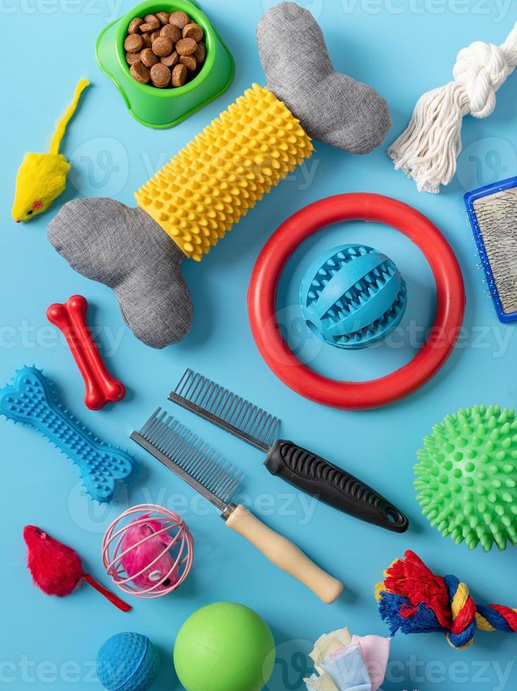 Pet care concept, various pet accessories and tools on blue background, flat lay photo