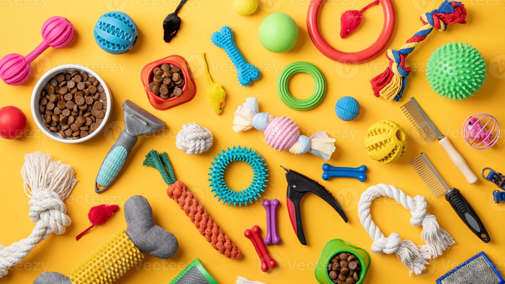 Pet care concept, various pet accessories and tools on yellow background, flat lay photo