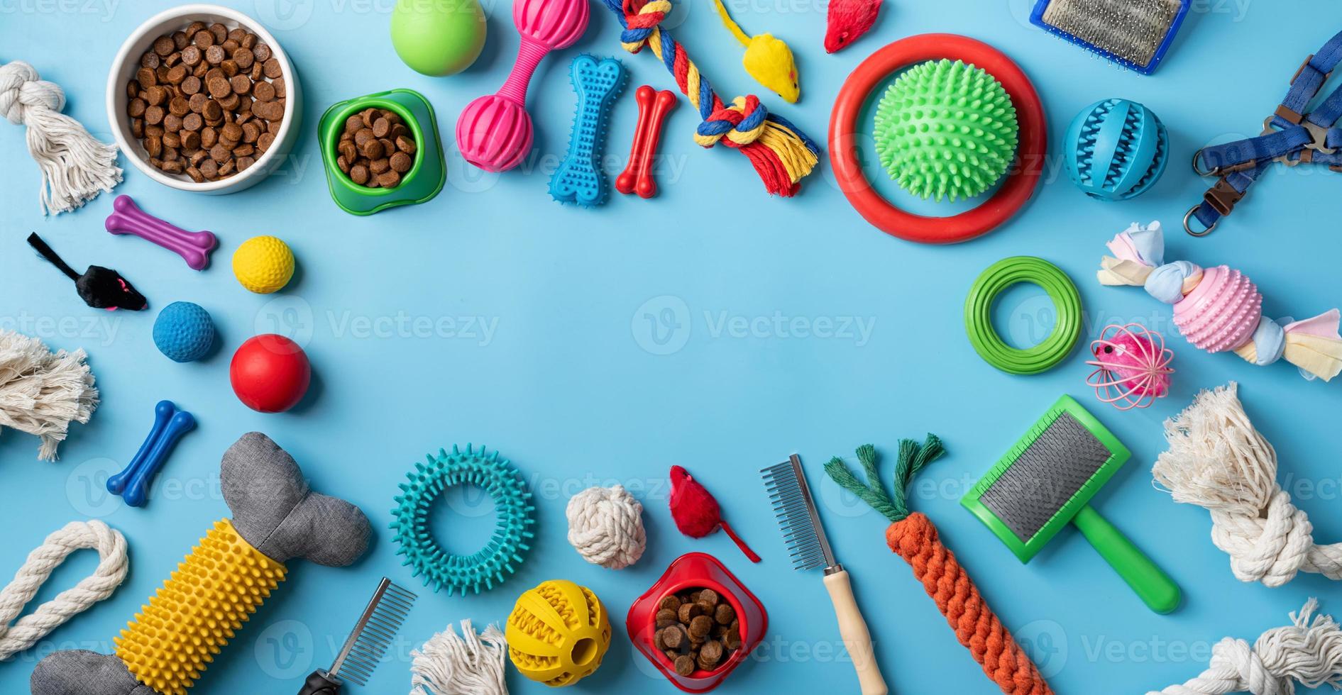 Pet care concept, various pet accessories on blue background, flat lay photo