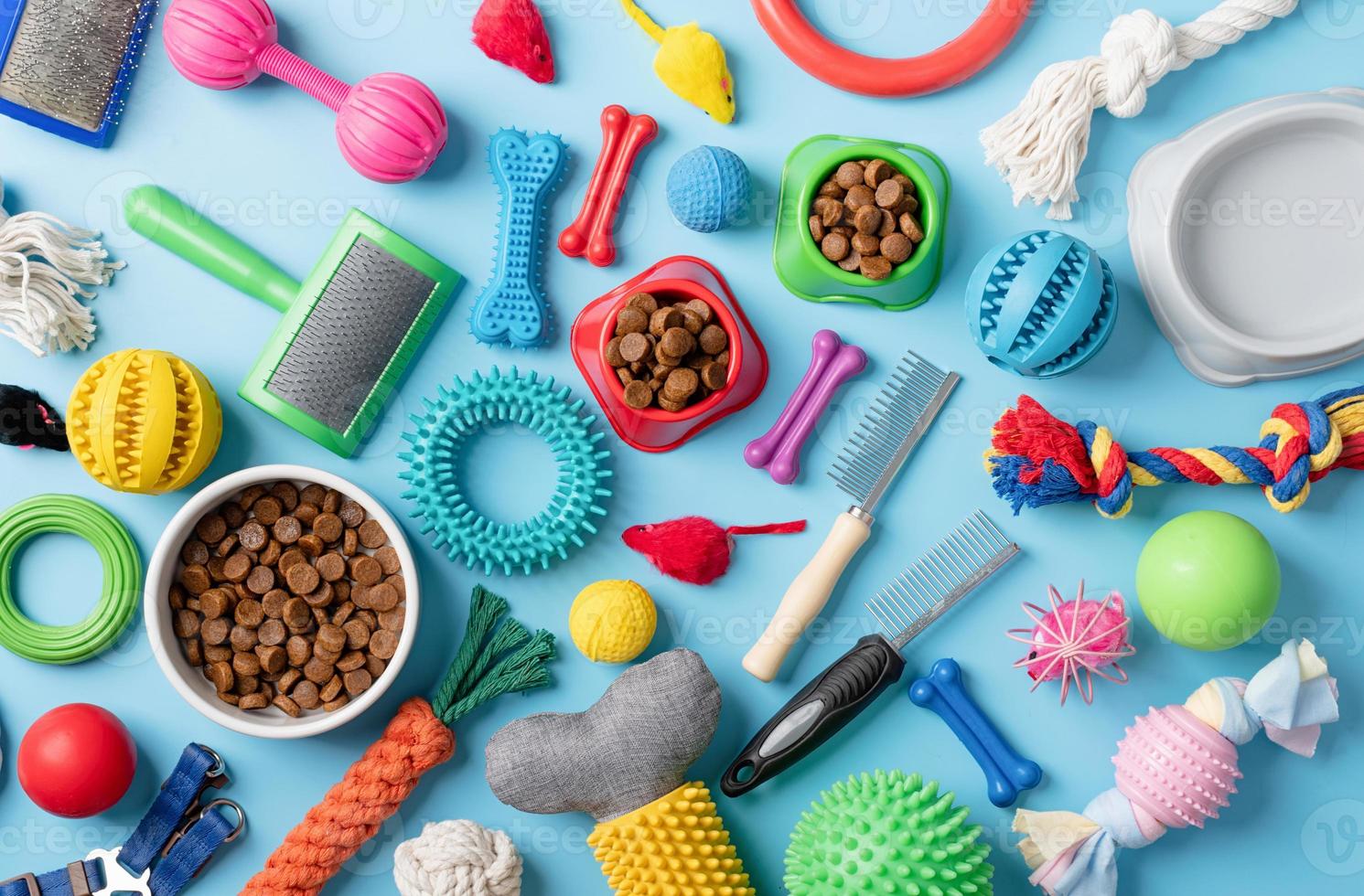 Pet care concept, various pet accessories and tools on blue background, flat lay photo