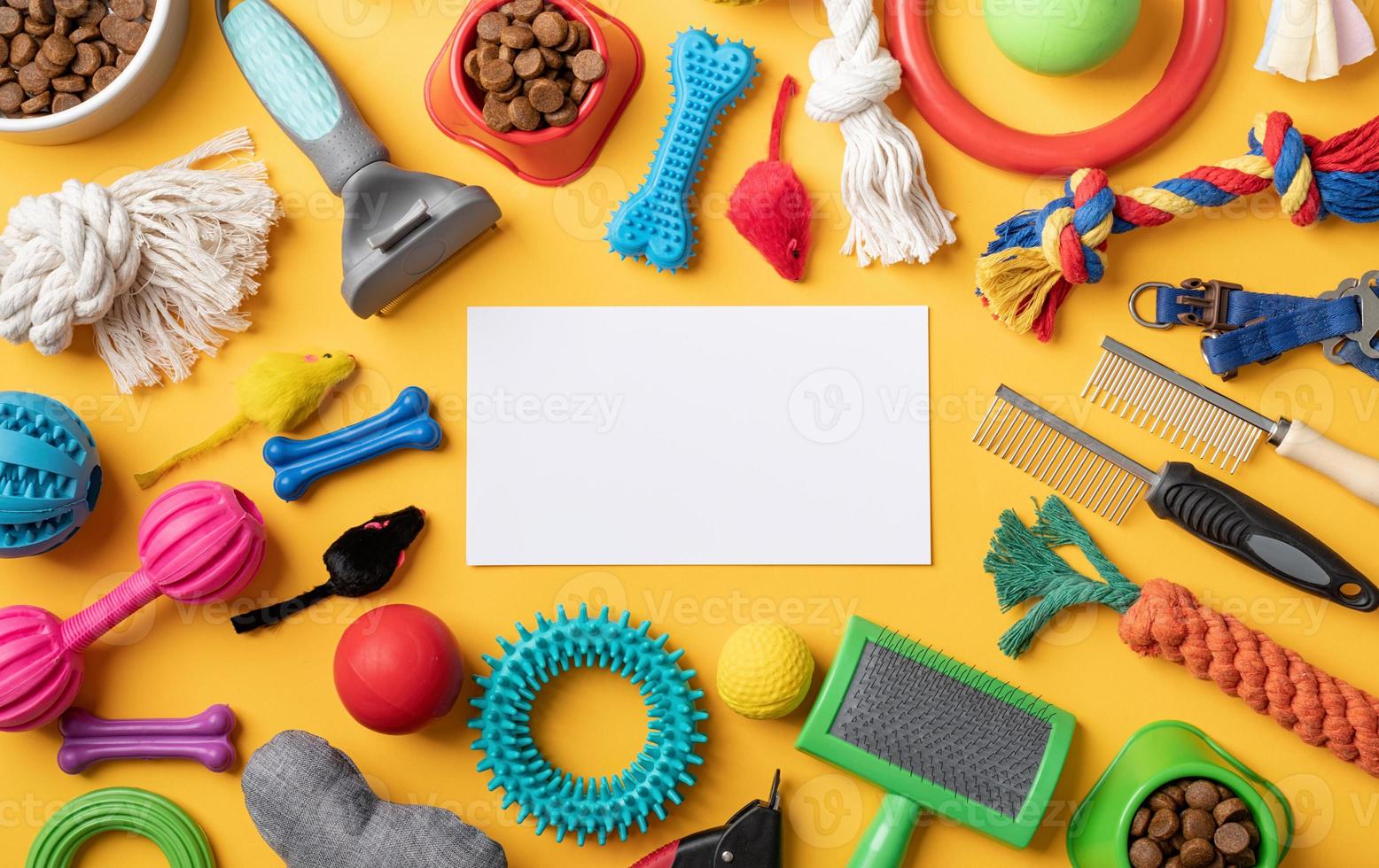 Pet care concept, various pet accessories and tools on yellow background with blank paper, flat lay photo