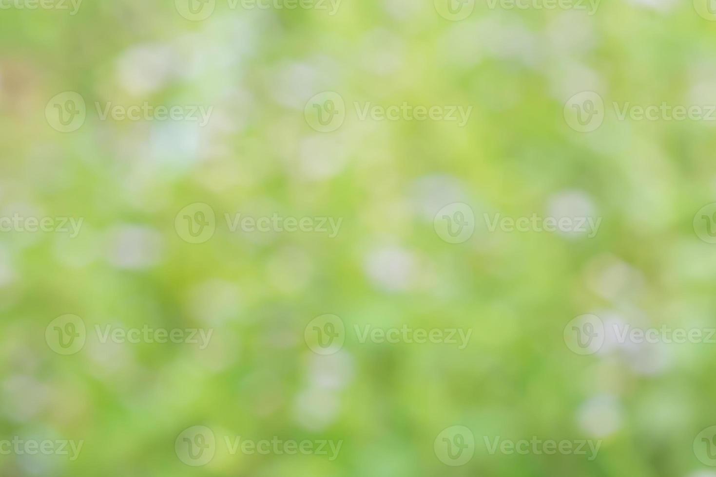Abstract background and texture of flower photo