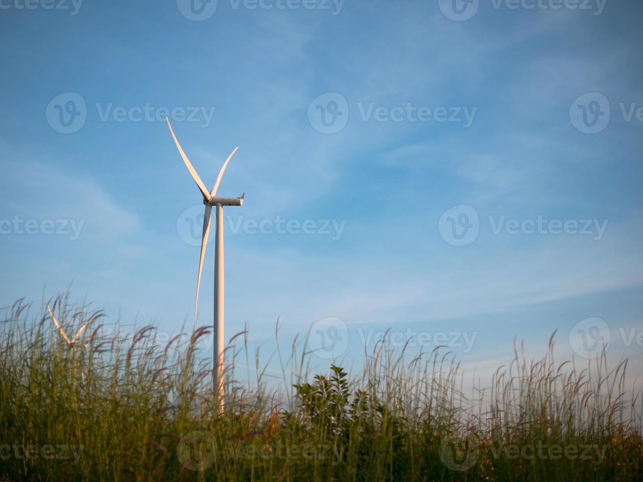 wind turbines in grass field with blue sky photo