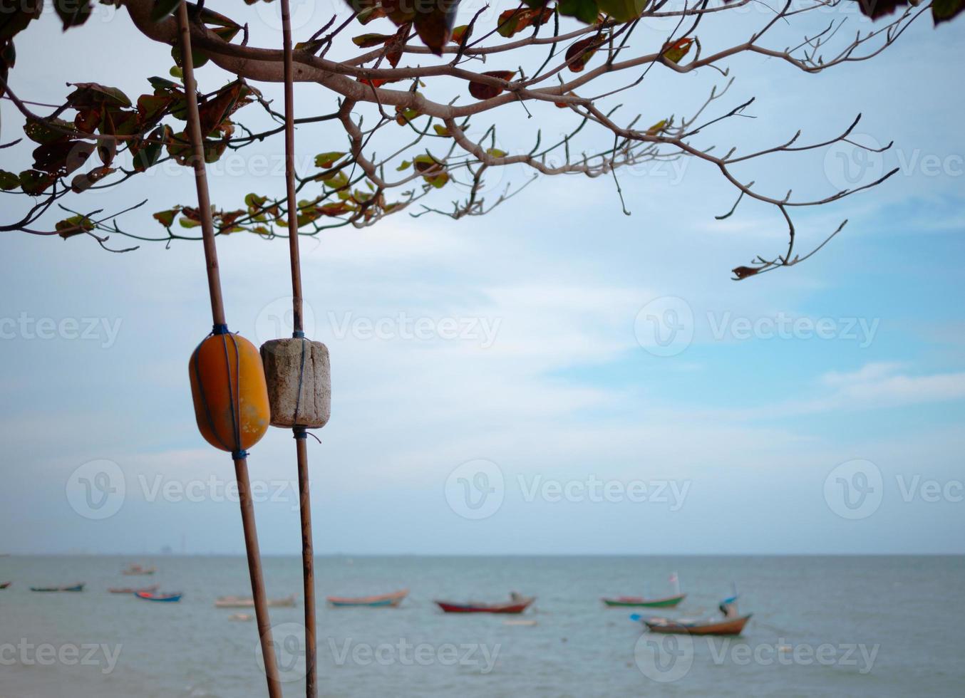Yellow and white buoys It is nestled in a tree by the sea photo
