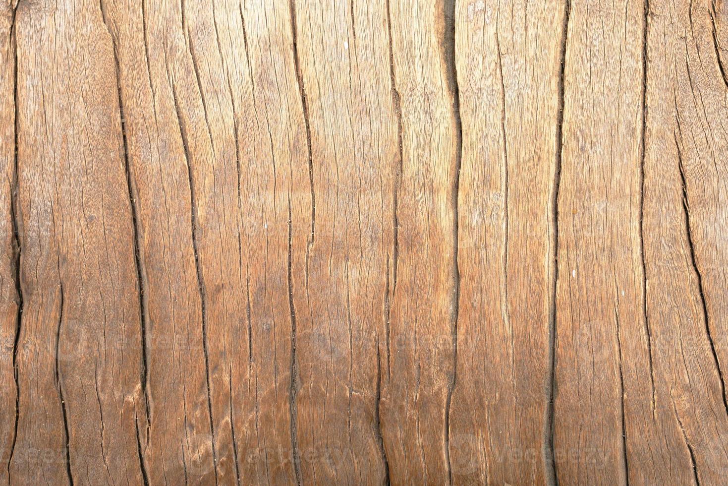 Background and texture of old wooden photo