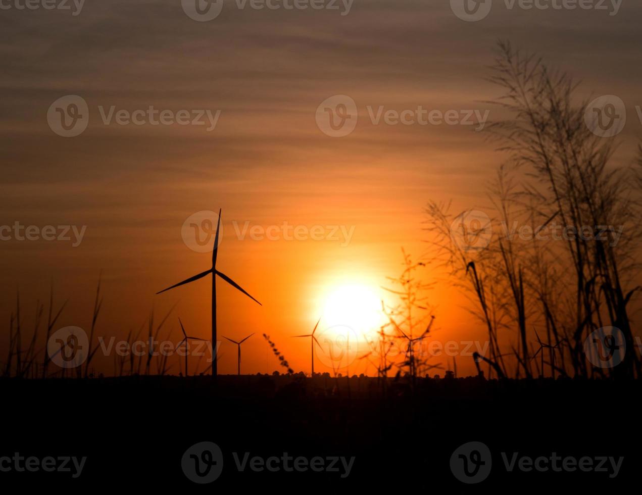 silhouette wind turbine in grass field with twilight and sunset photo