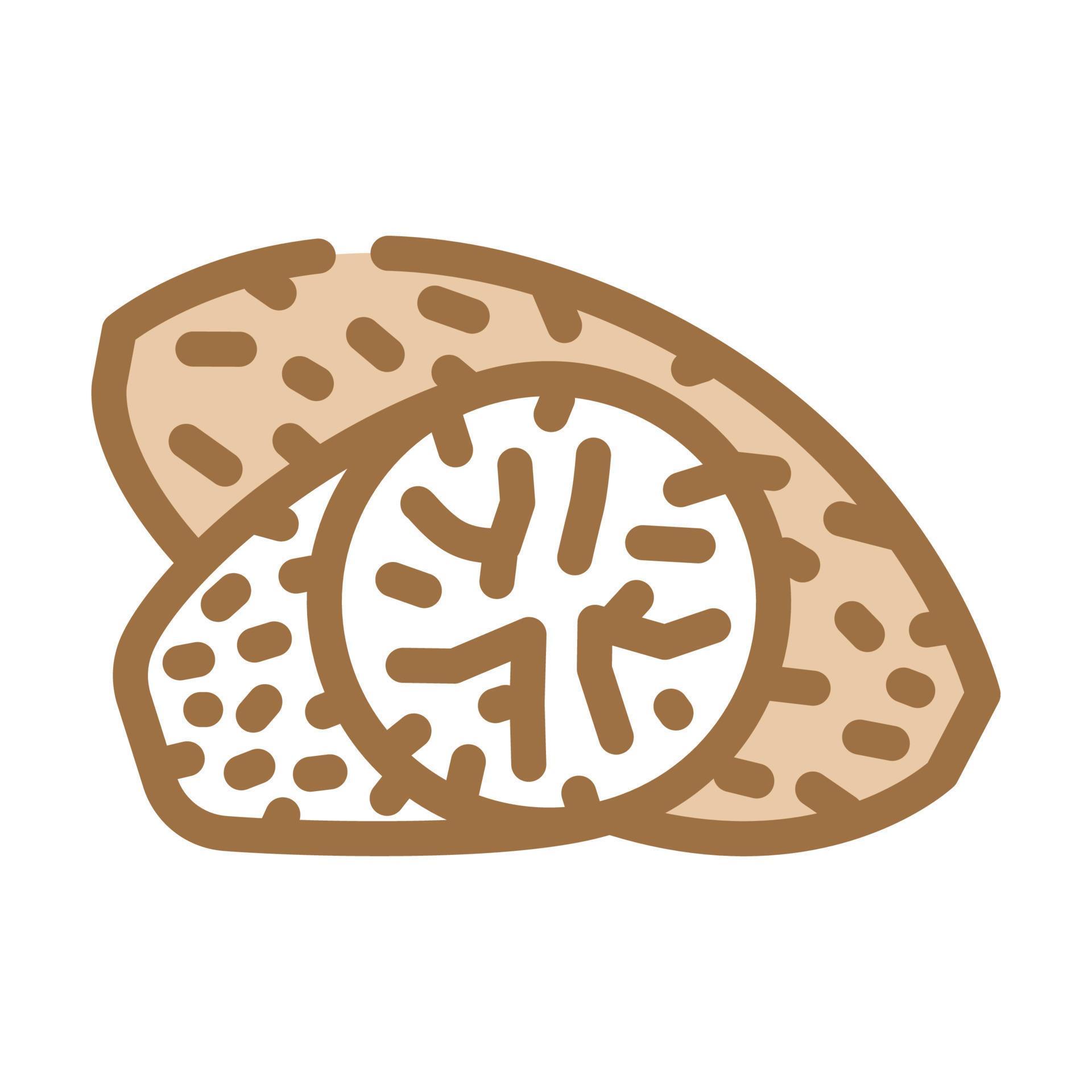 nutmeg spice color icon vector illustration 8159920 Vector Art at Vecteezy