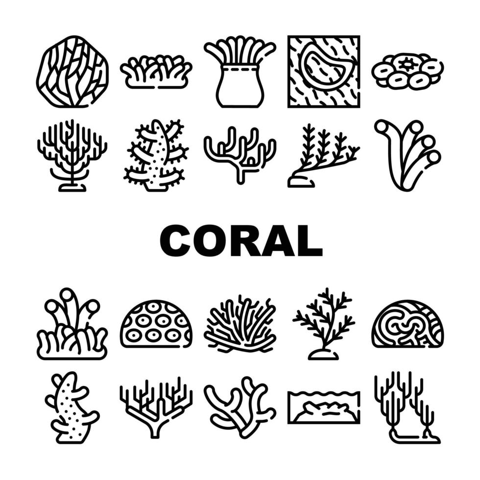 conjunto de iconos de colección de arrecifes acuáticos de mar de coral vector