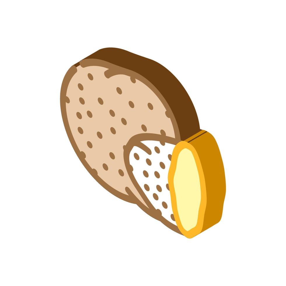 truffle delicious mushroom isometric icon vector illustration