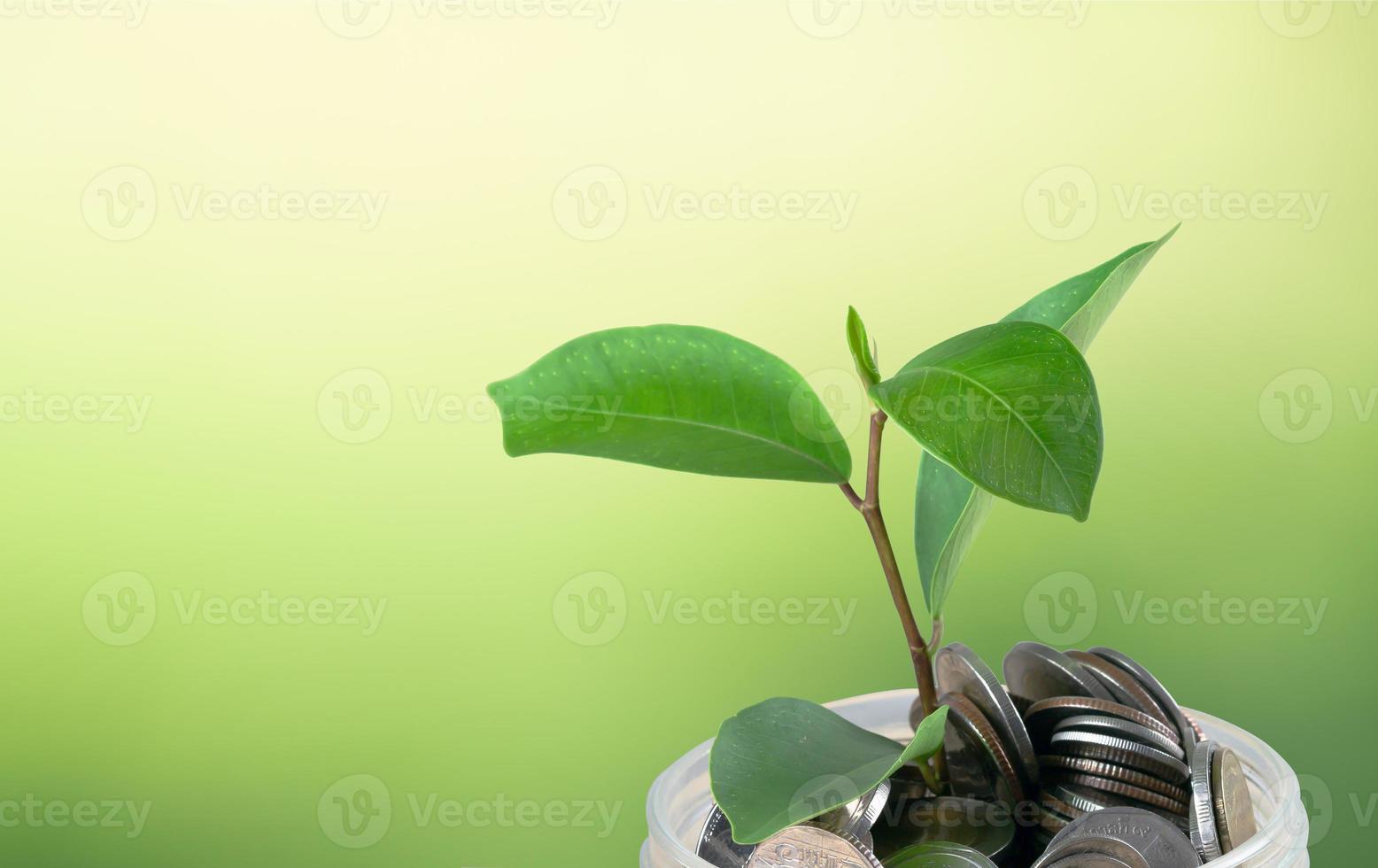 A plant sprouting on coins with a green blurred background and copy space photo