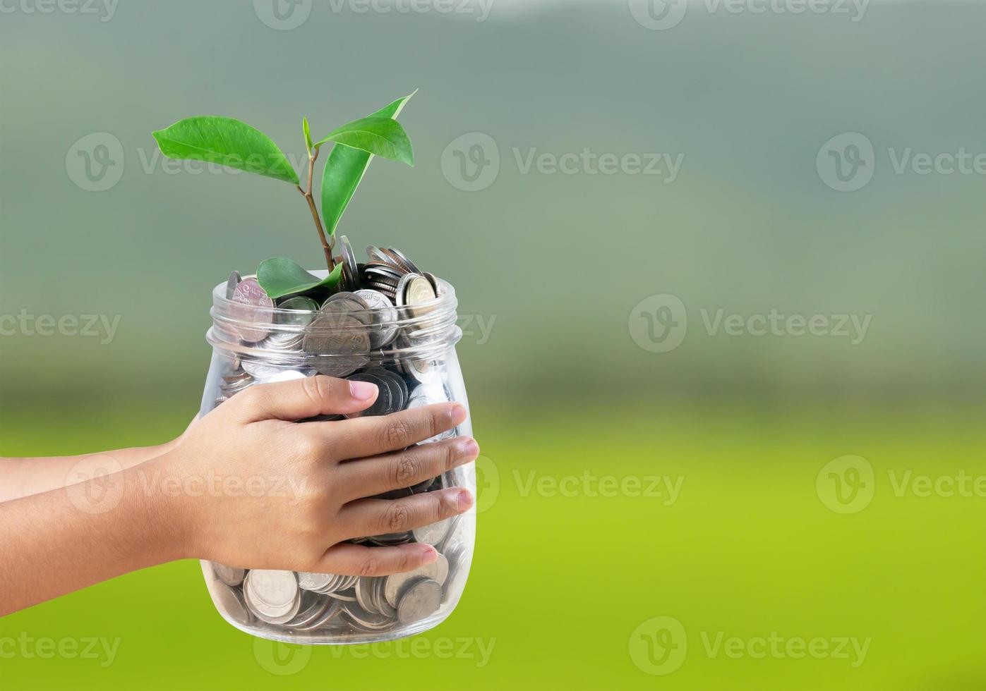 The girl holds a jar filled with coins and tree sprouts photo