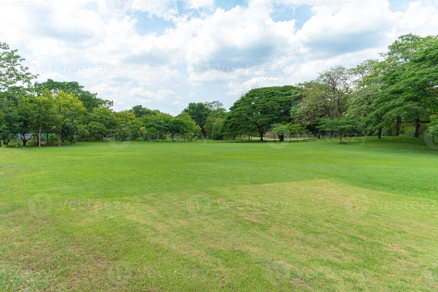 Green trees with Beautiful meadow in the park photo