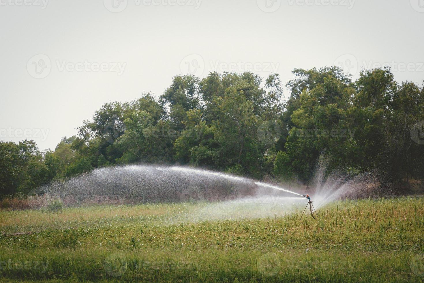 sistemas de riego agrícola que riegan la granja en un fondo blanco foto