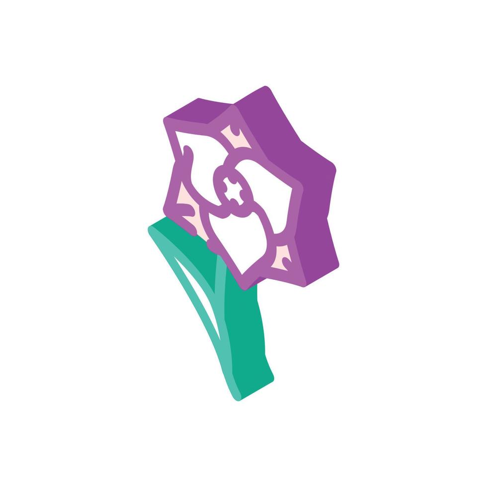 gladiolus flower isometric icon vector illustration
