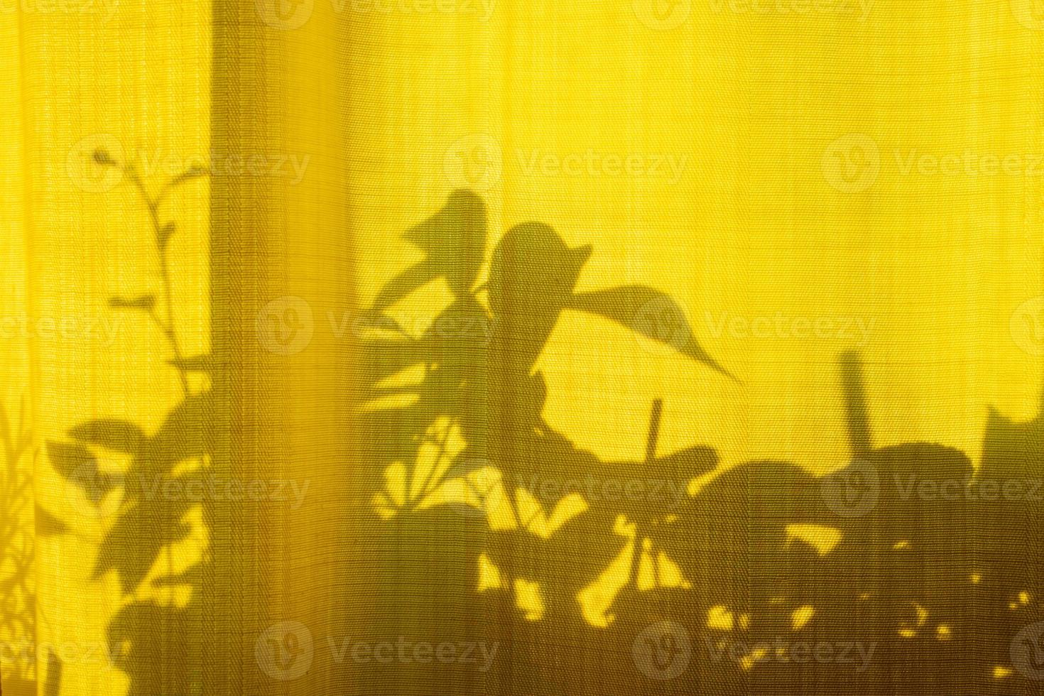 Unusual shadows and silhouettes from plants on yellow textiles. Trendy abstract background. photo