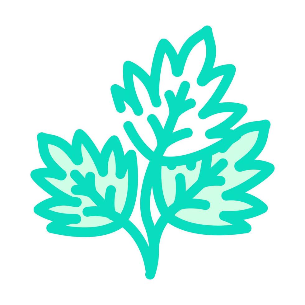 parsley leaves color icon vector illustration