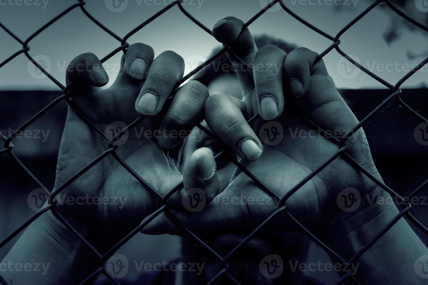 Hands on a fence photo