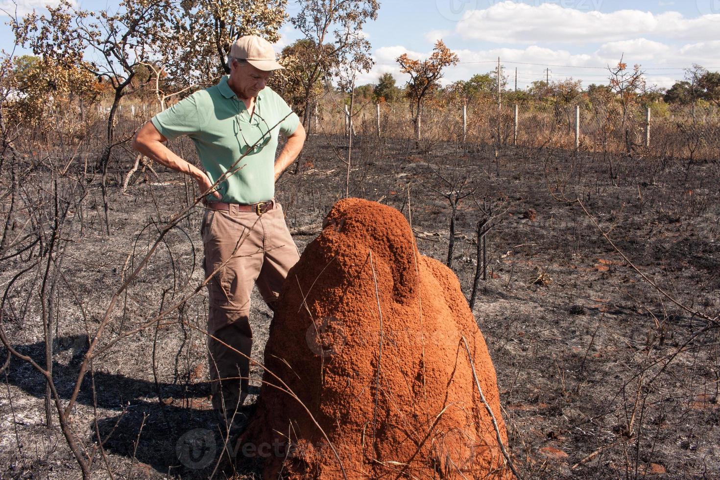 Man inspecting a termite mound near a piece of land that was set on fire near the Tuxa Indian Reservation in Northwest Brasilia, Brazil photo