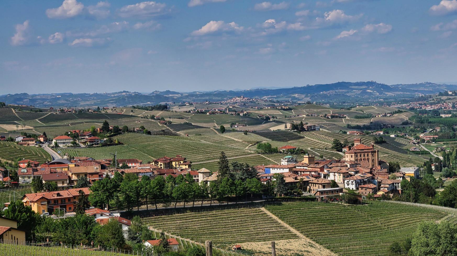 landscapes of the Piedmontese Langhe of Barolo and Monforte d'Alba with their vineyards in the period of spring 2022 photo