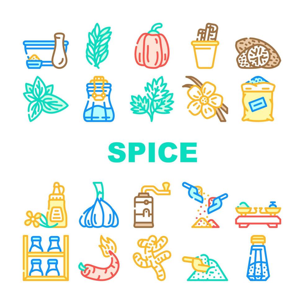 Spice Vegetable Food Collection Icons Set Vector