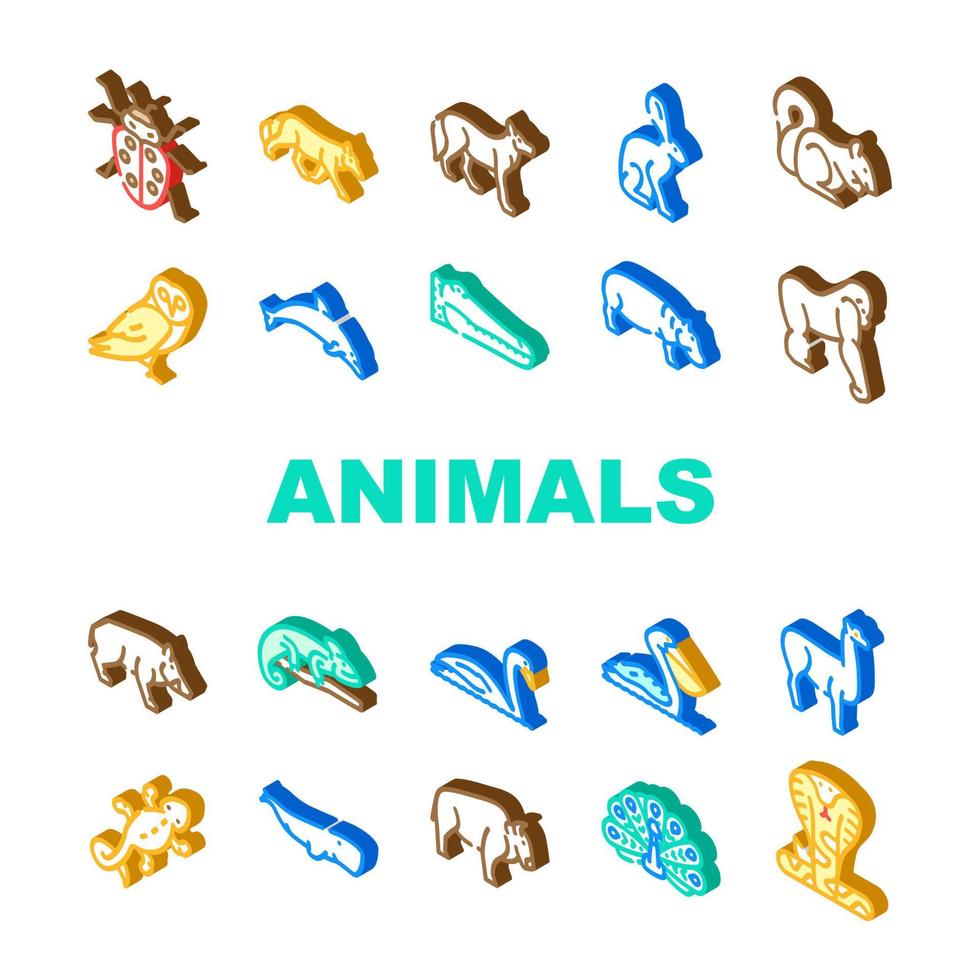 animales salvajes, pájaros e insectos iconos conjunto vector