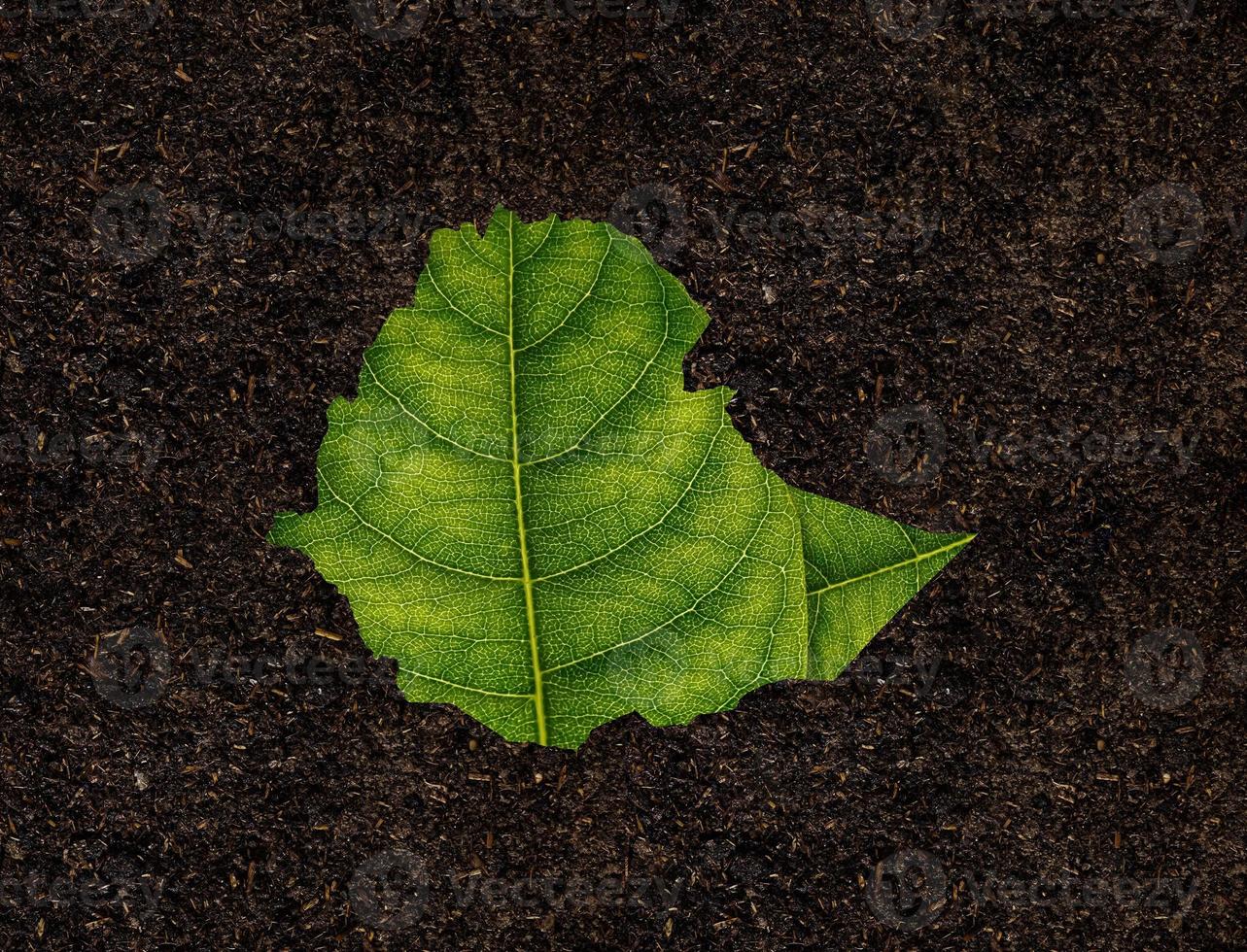 Ethiopia map made of green leaves on soil background ecology concept photo