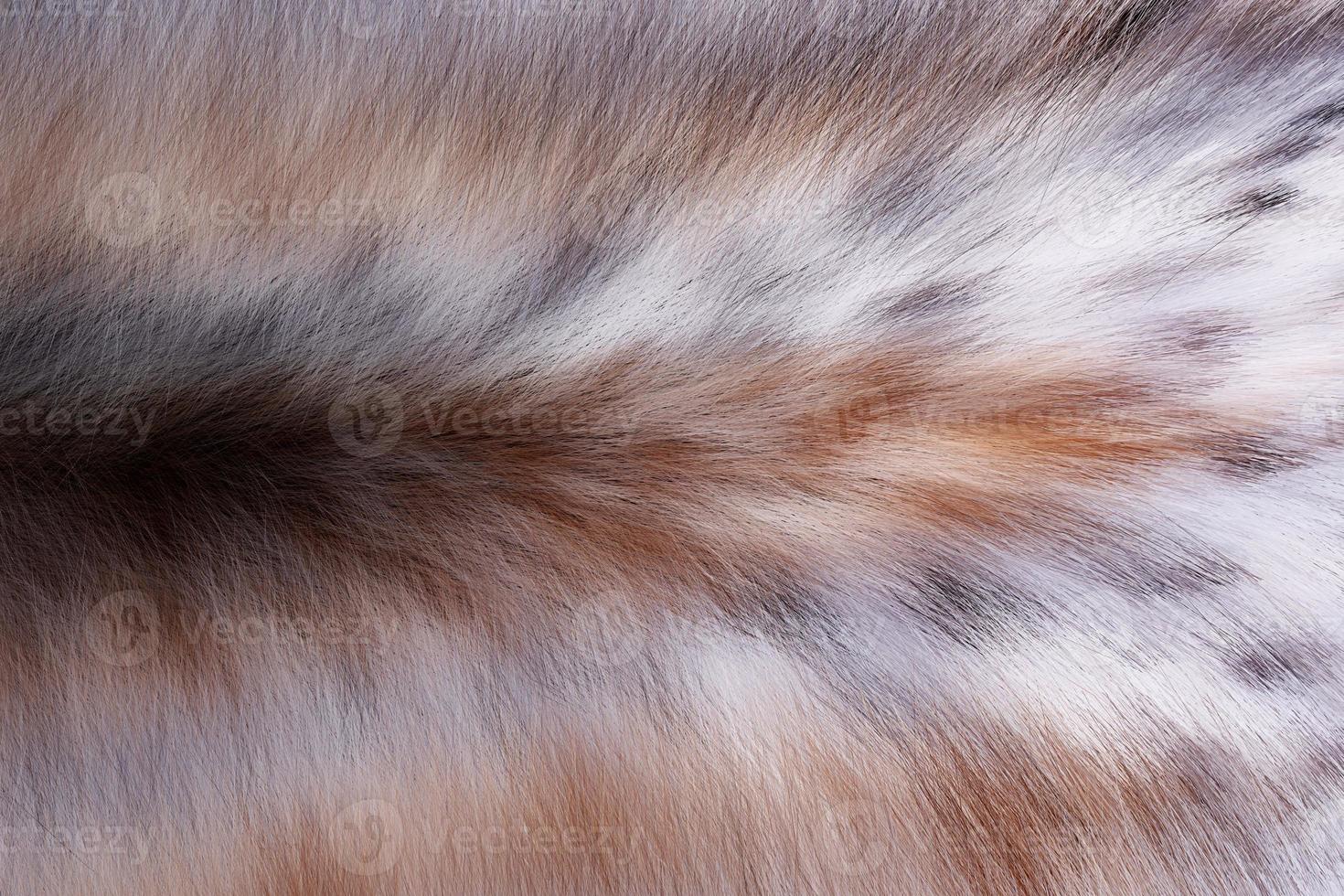 Animal skin and wool pattern texture background photo