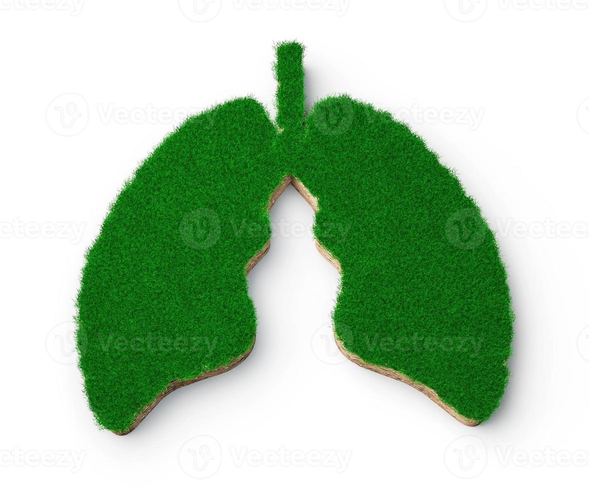 forma de pulmones hecha de hierba verde y sección transversal de textura de suelo de roca con ilustración 3d foto