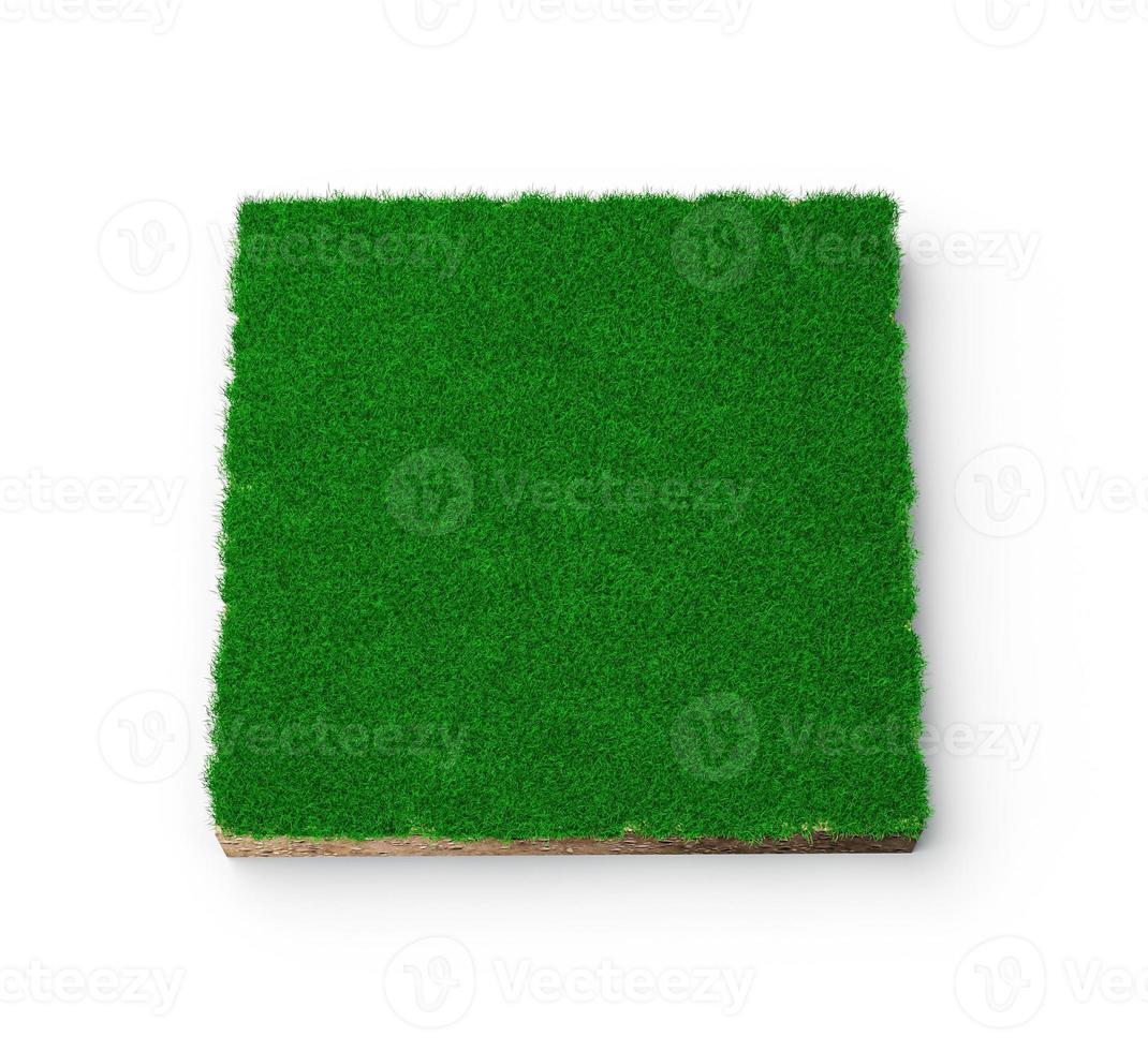 Square of green grass field over white background green grass and Rock ground texture cross section with 3d illustration photo