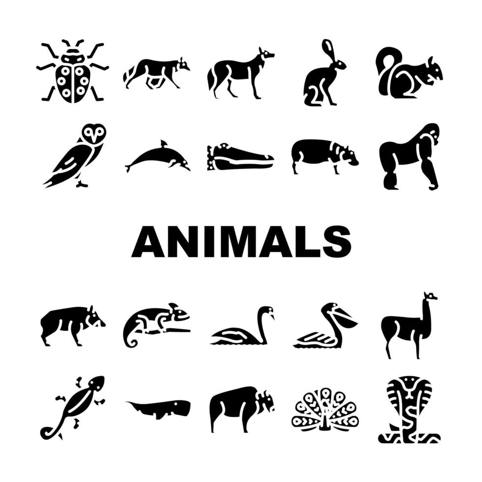 animales salvajes, pájaros e insectos iconos conjunto vector