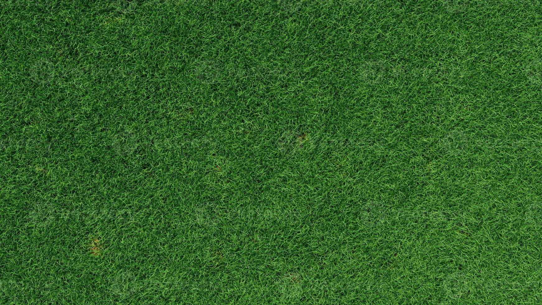 Detailed green grass lawn texture Top View 3D Rendering photo