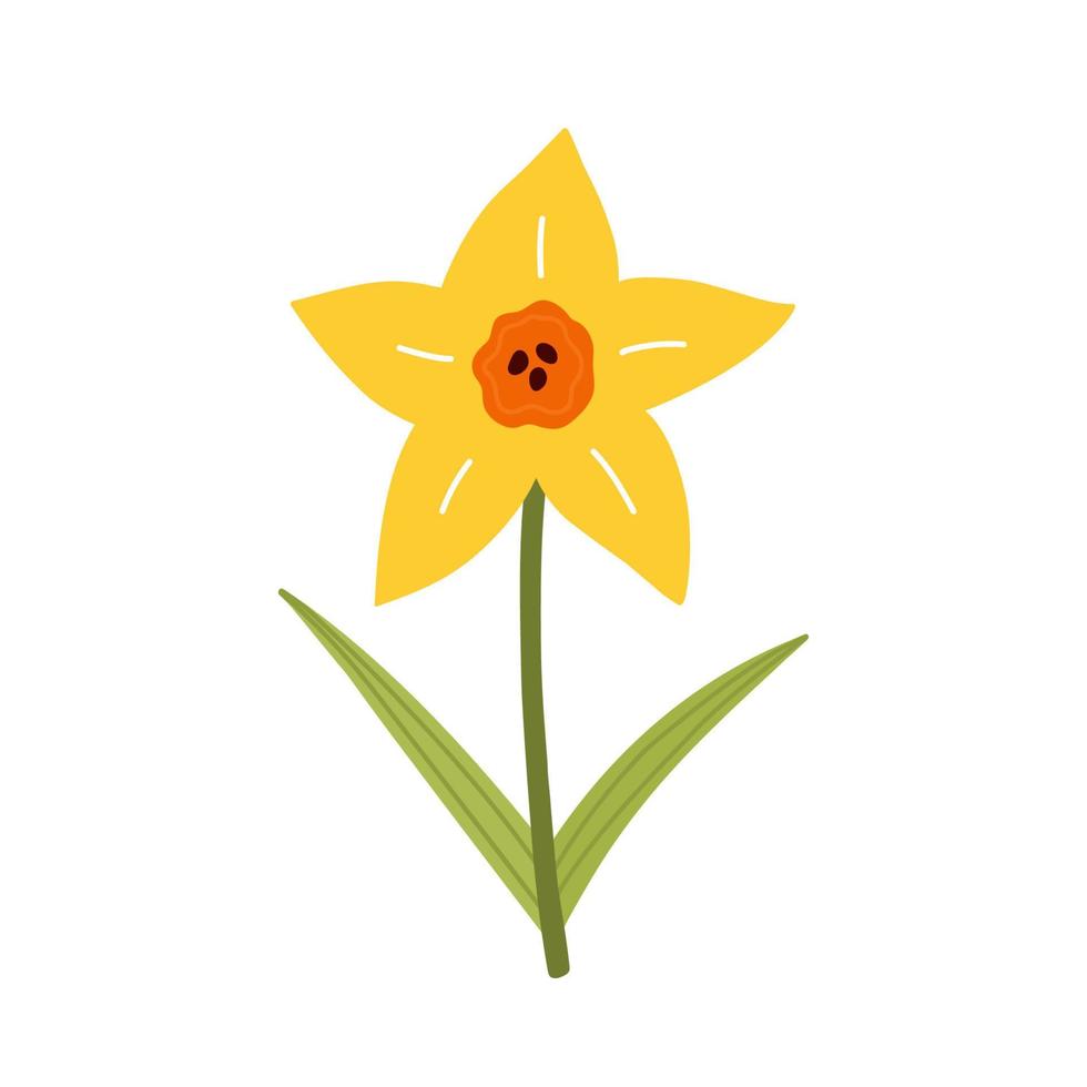 Cute yellow daffodil flower with leaves isolated on white background. Vector illustration in hand-drawn flat style. Perfect for cards, logo, decorations, spring and summer designs. Botanical clipart.