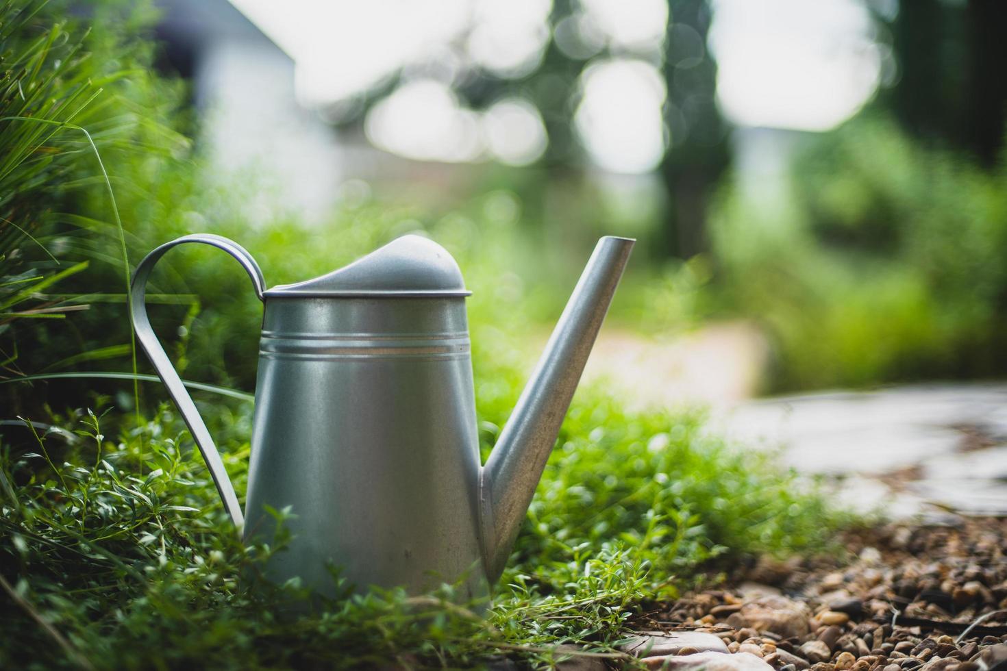 Metal watering can be Placed above the pine, in the garden, at evening time. soft focus.shallow focus effect. photo