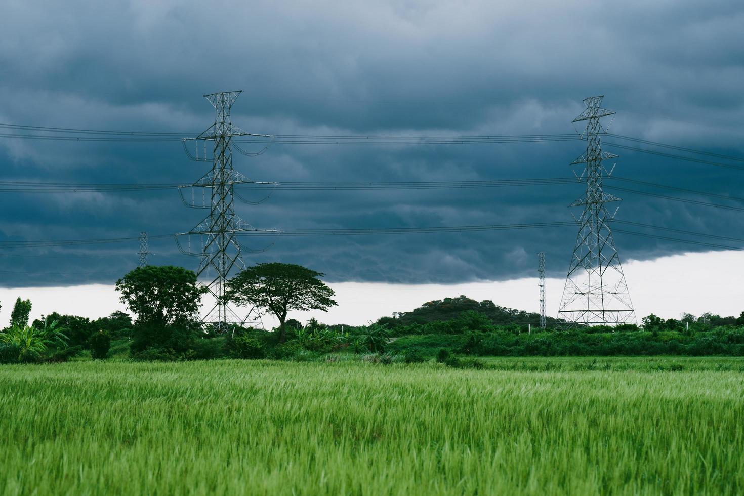 black clouds before the rain and high voltage poles near rice fields photo