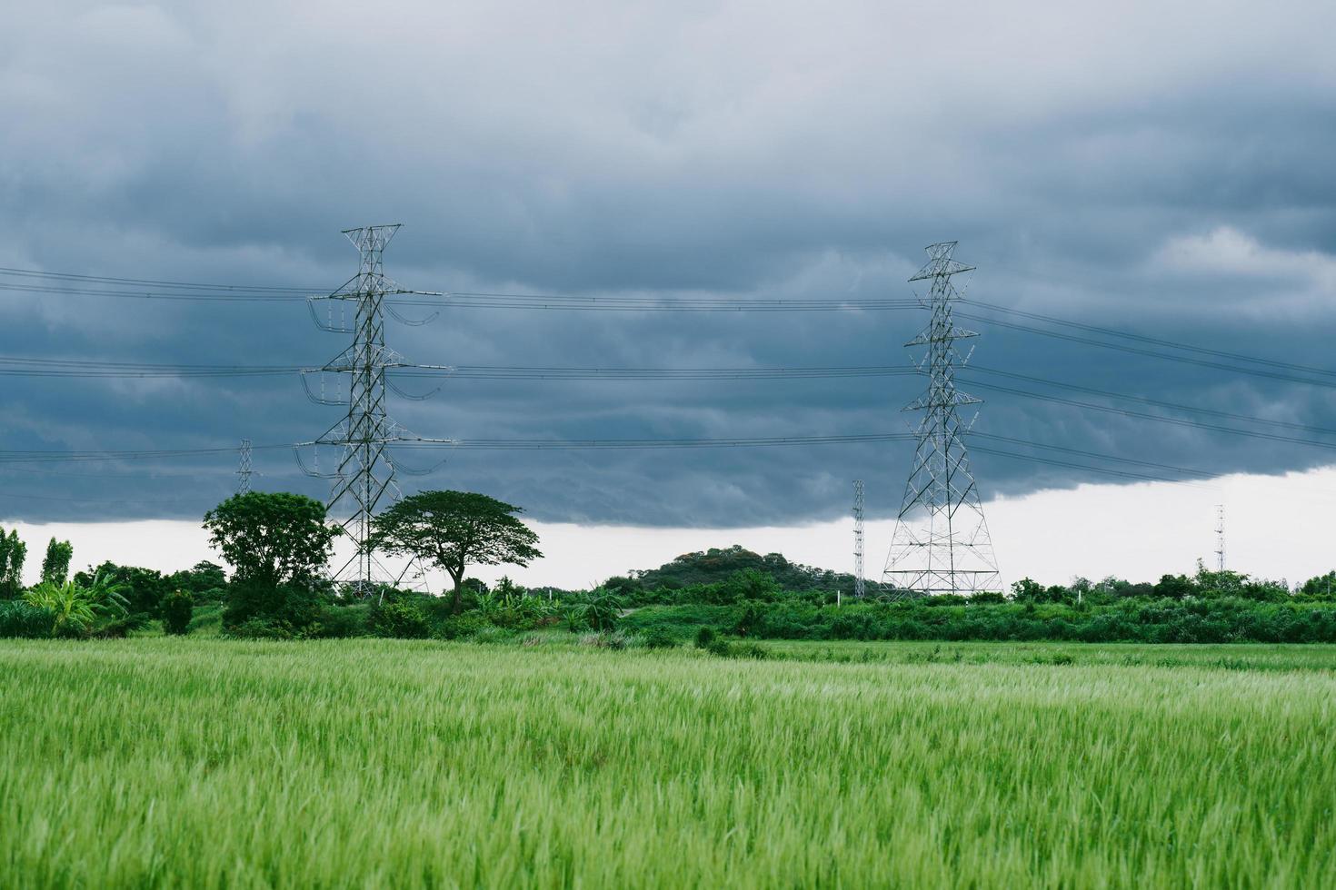 black clouds before the rain and high voltage poles near rice fields photo