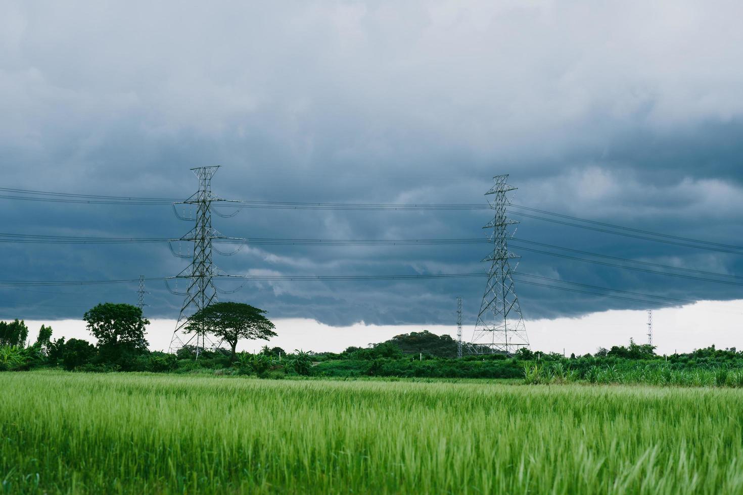 black clouds before the rain and high voltage poles near rice fields photo