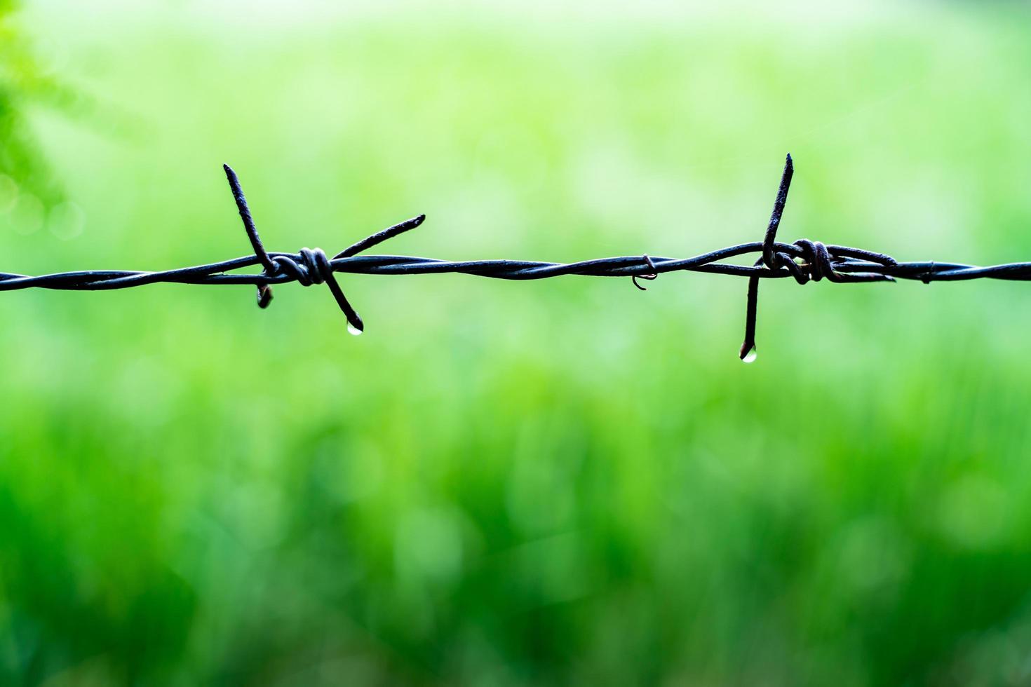 Close-up photo of rusted barbed wire fence sky background.soft focus.