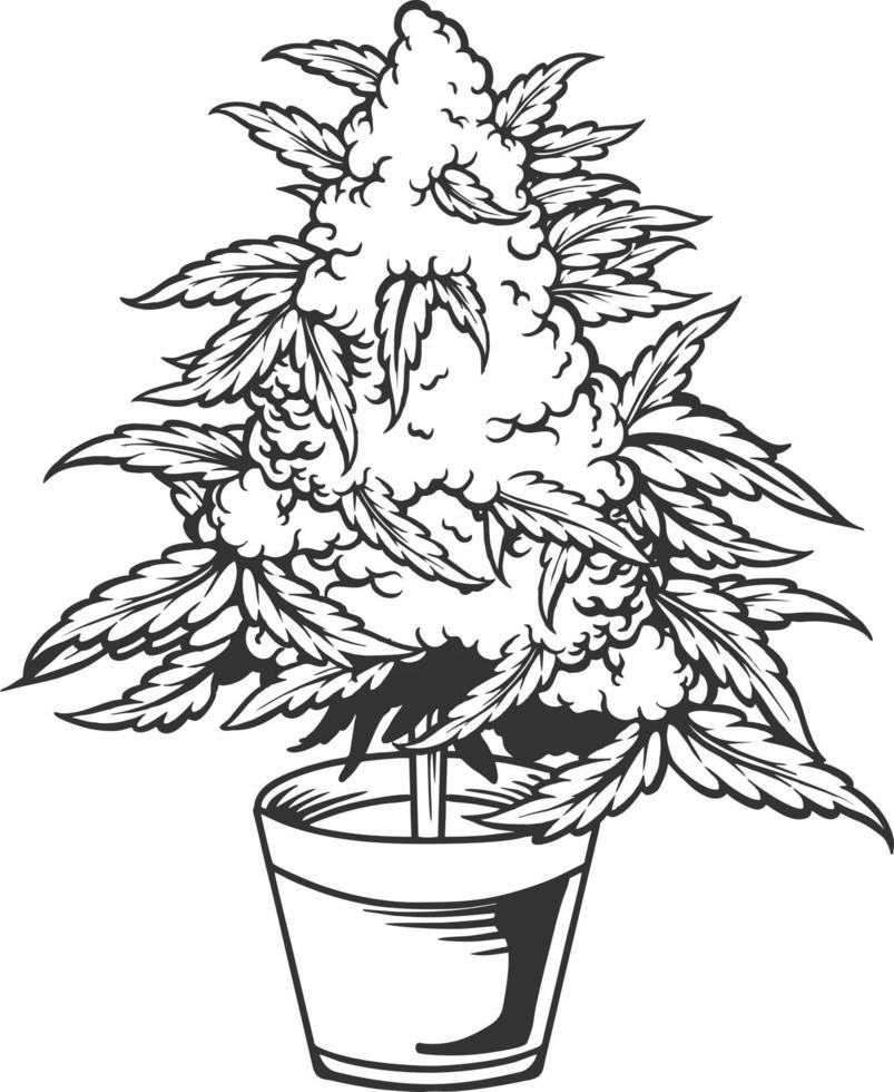 Weed leaf plant with pot silhouette vector