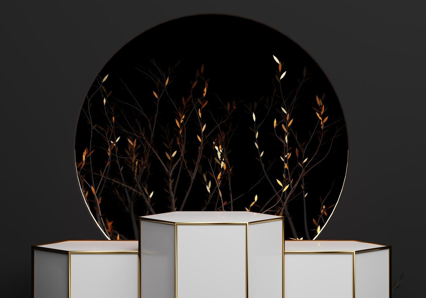 Abstract golden and white stage podium luxury and modern platform for product display advertising with circle rings and leaves  Black background 3d render Podium photo