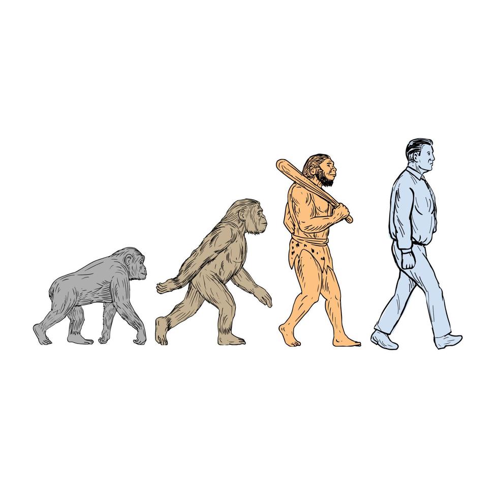 evolución humana caminando dibujo vector