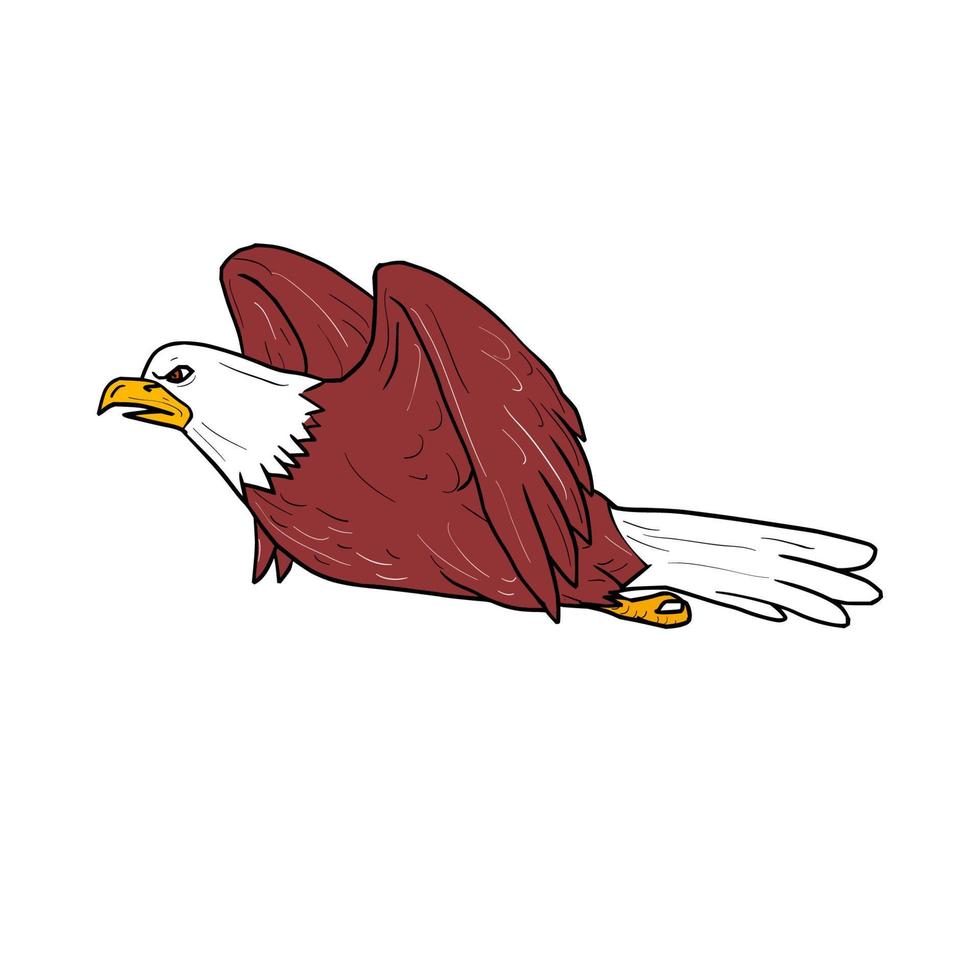 Bald Eagle Flying Cartoon vector