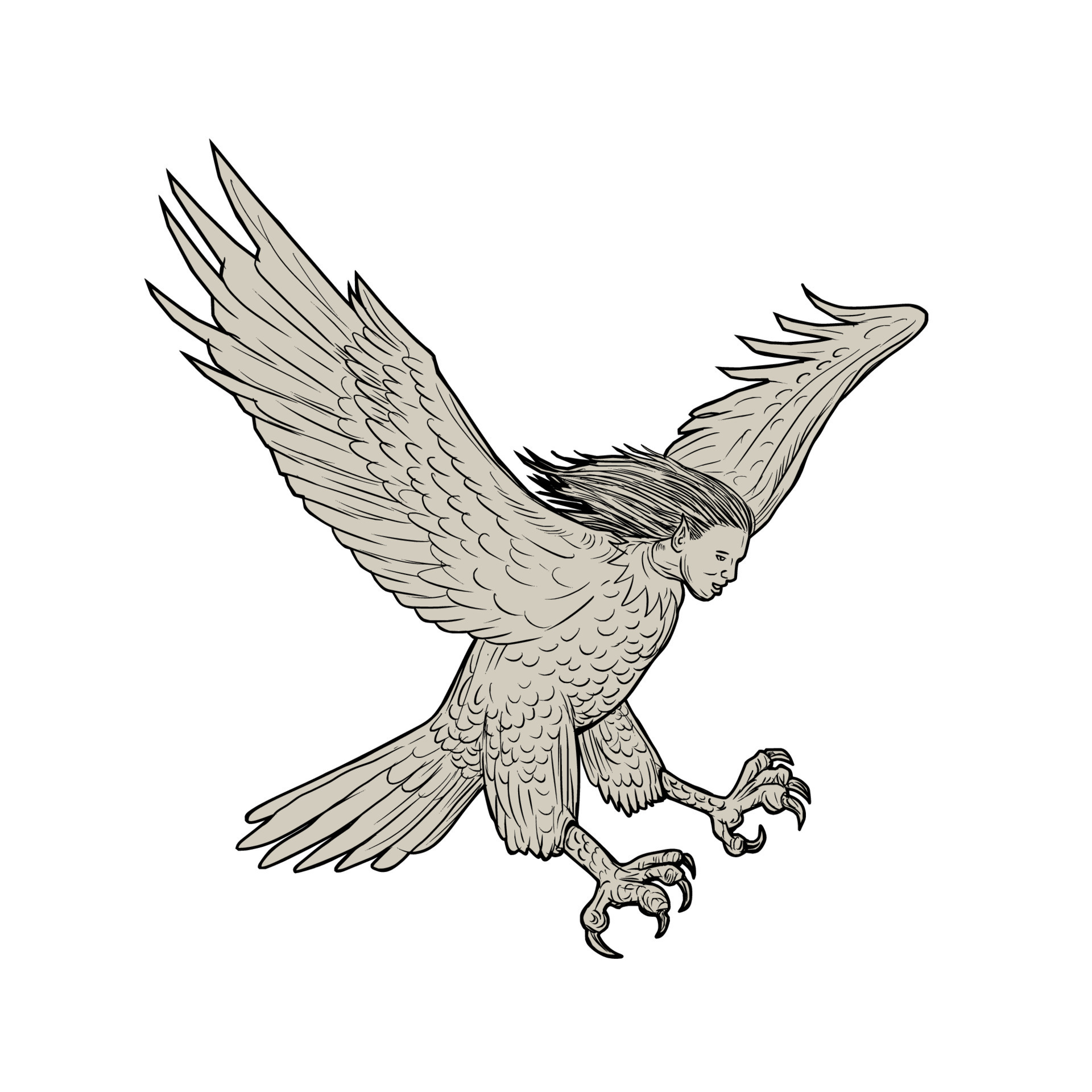 Harpy Swooping Drawing 8164453 Vector Art at Vecteezy