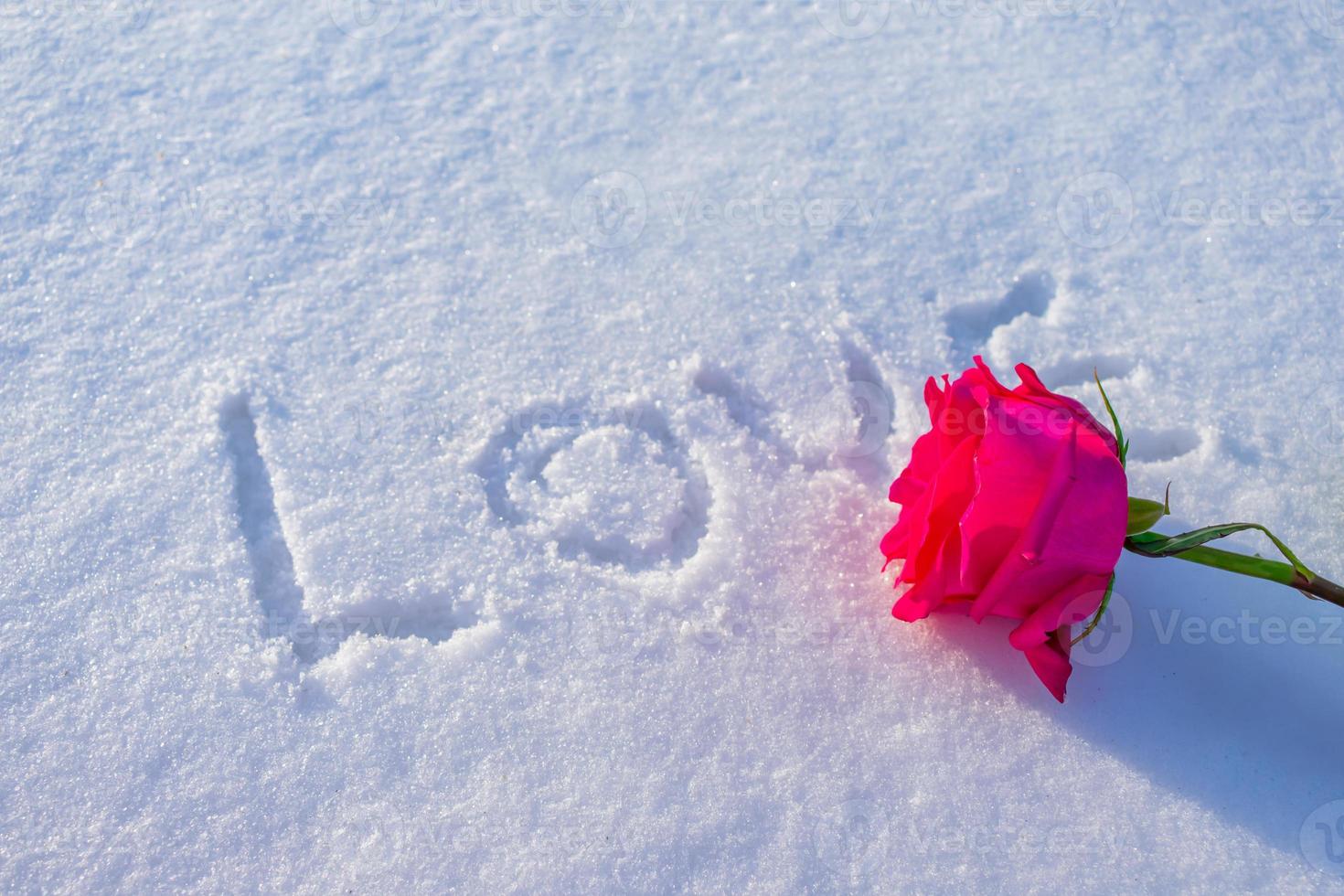 Love message in the snow with a rose next to it photo