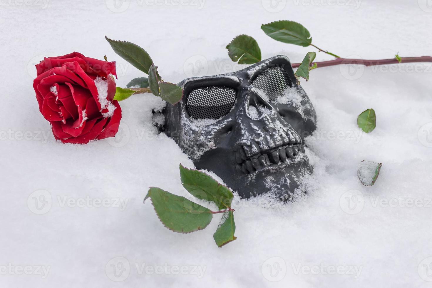 Black mask skull in the snow with a red rose as a symbol photo