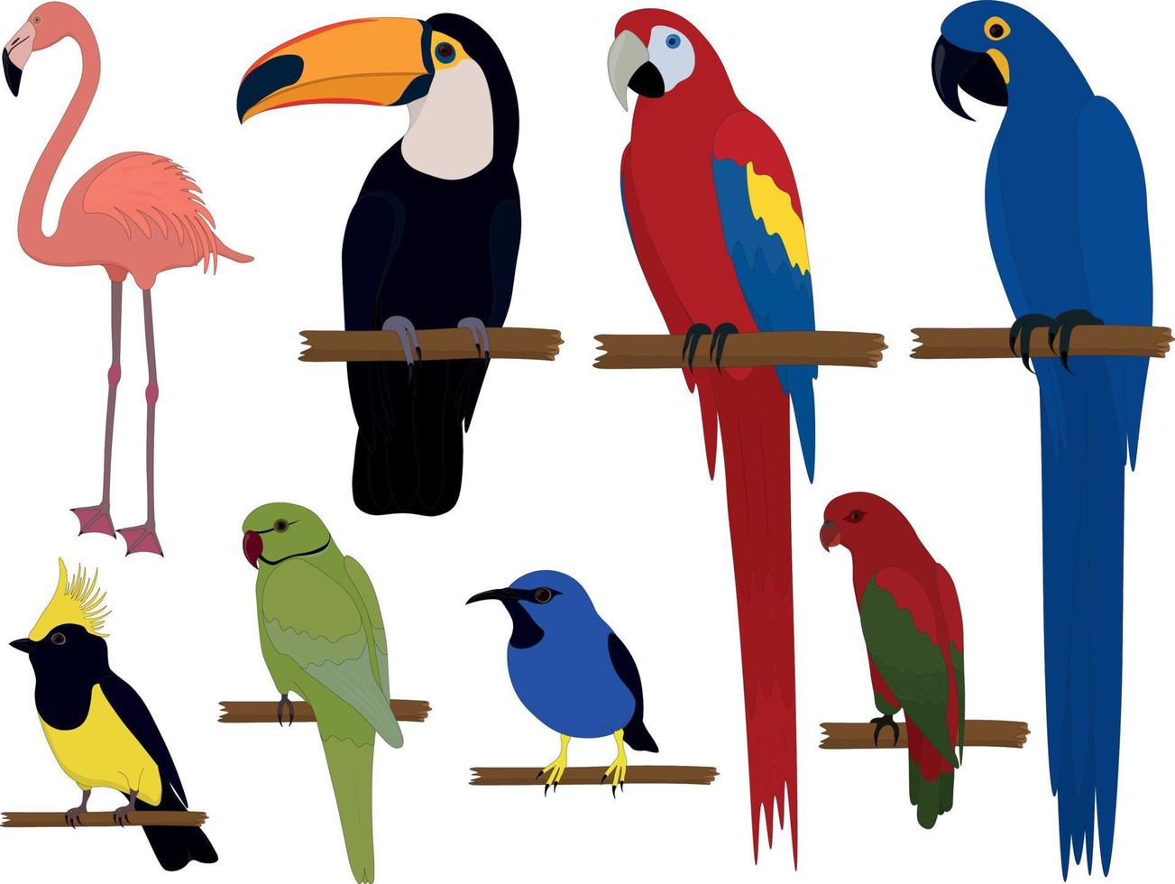 Ilustración de vector de colección de aves tropicales exóticas multicolores