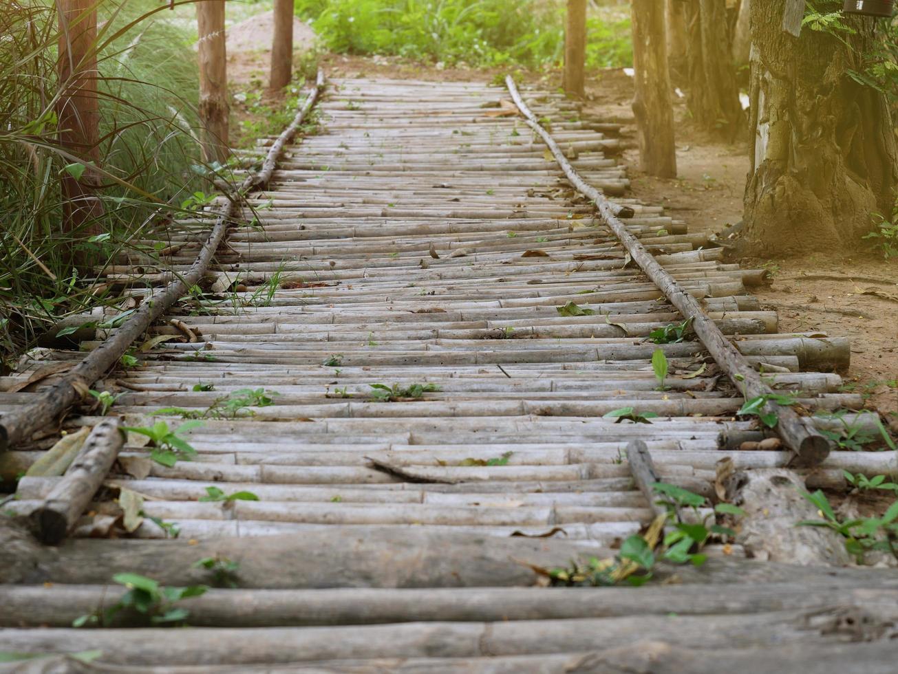 la pasarela peatonal está hecha de troncos de bambú alineados. foto