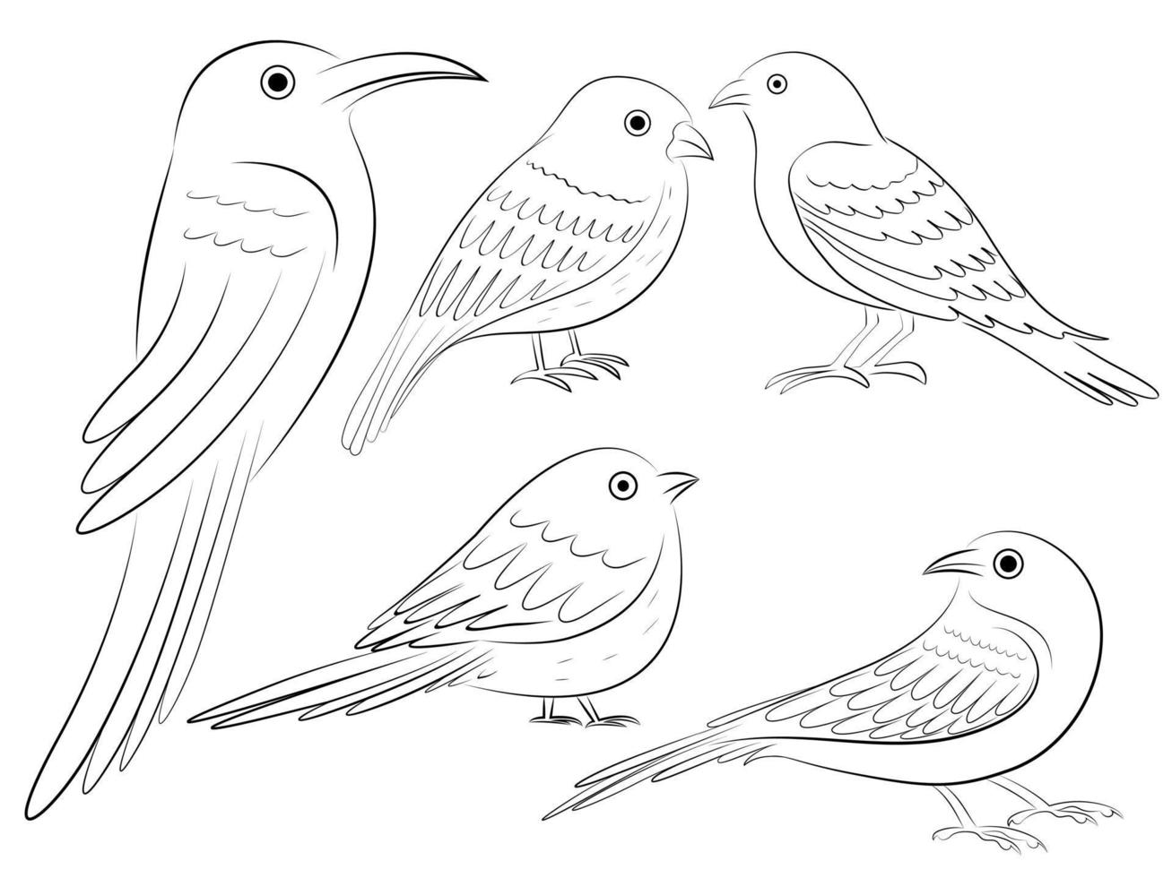 outline bird drawing 8165177 Vector Art at Vecteezy