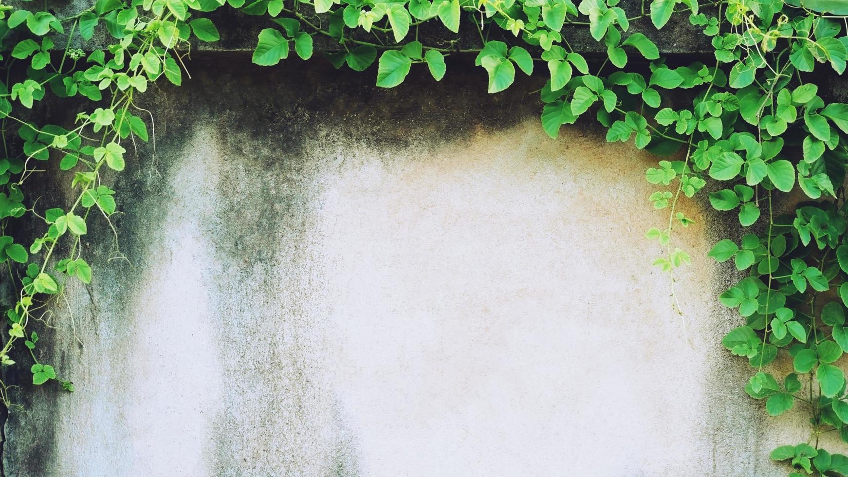 la vieja pared de cemento estaba desgastada, la superficie estaba rayada, la superficie estaba rayada y dañada. para un misterioso fondo retroconservador. foto