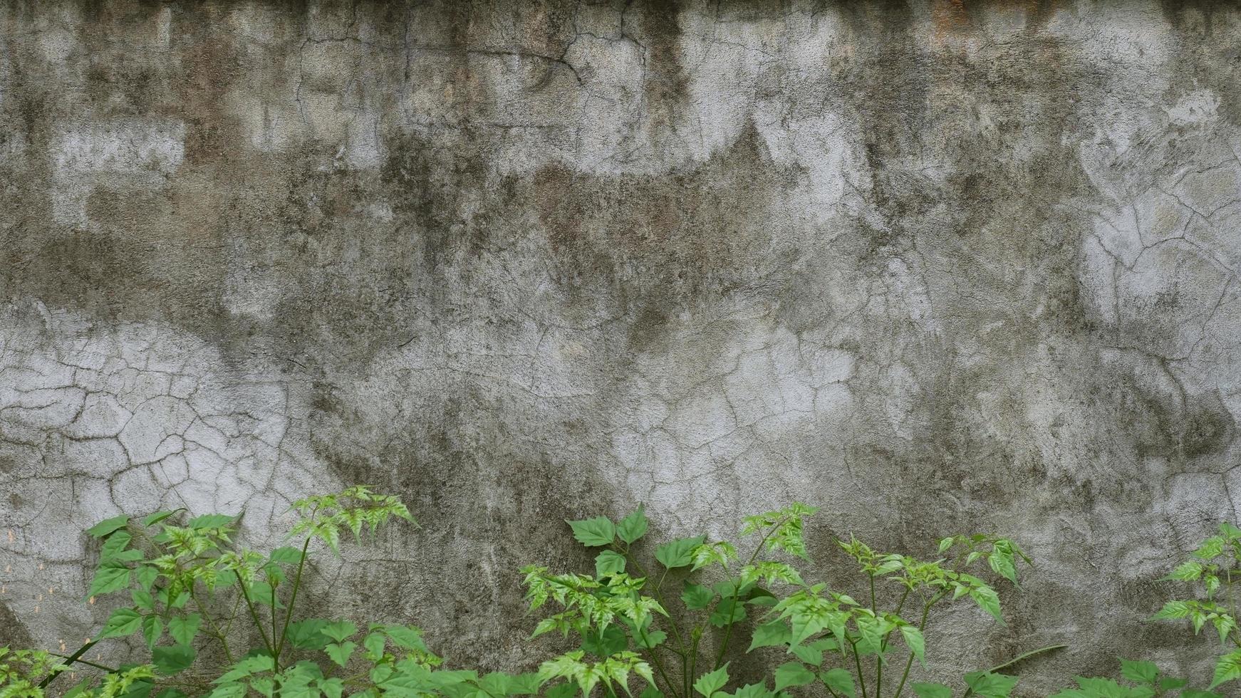 The old cement wall was weathered, the surface was scratched, the surface was scratched and damaged. For a mysterious retro-conservative background. photo