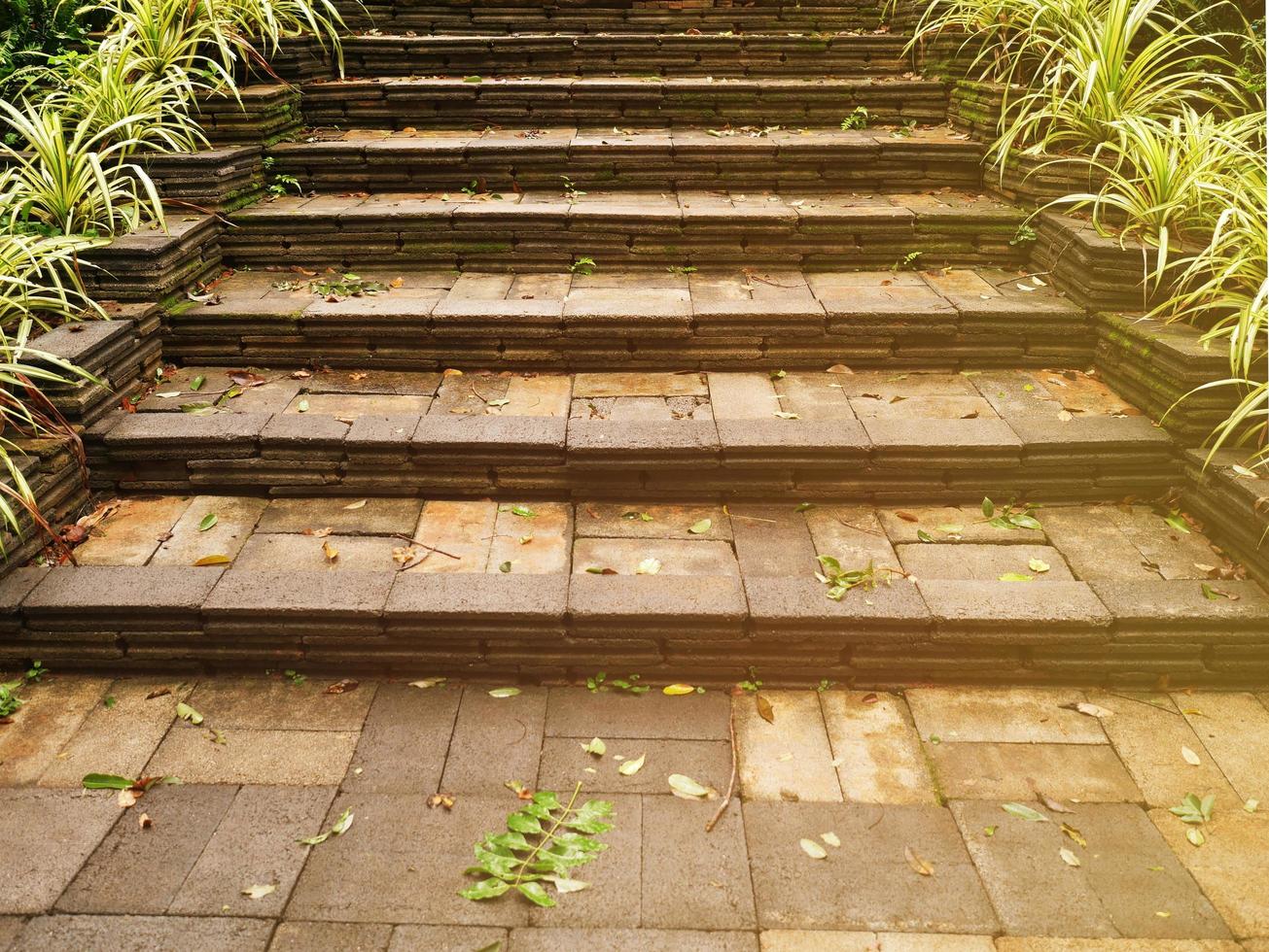 una escalera de ladrillo ilumina el camino hacia un jardín ligeramente cubierto de hierba. foto